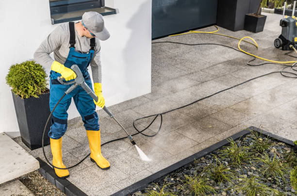 Best Pressure Washing Near Me  in Clayton, NM